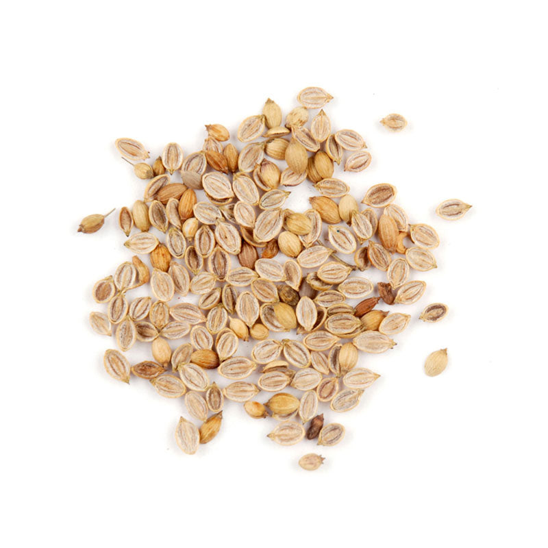 CRACKED CORIANDER - 6 lb bag / box, whole seeds showcasing bright, citrusy flavor and unique texture.