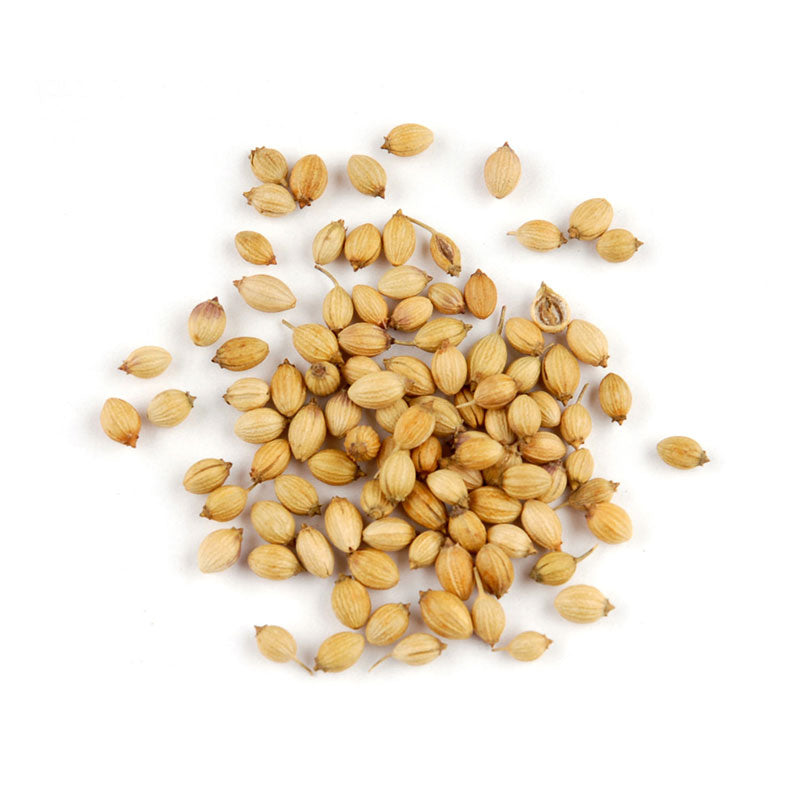 WHOLE CORIANDER SEED - 25 lb bag / box - aromatic seeds scattered on a white background.