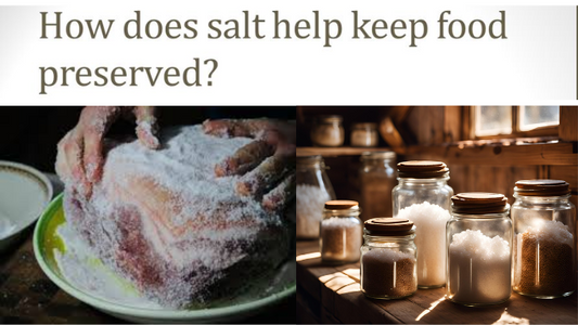 The Role of Salt in Food Preservation