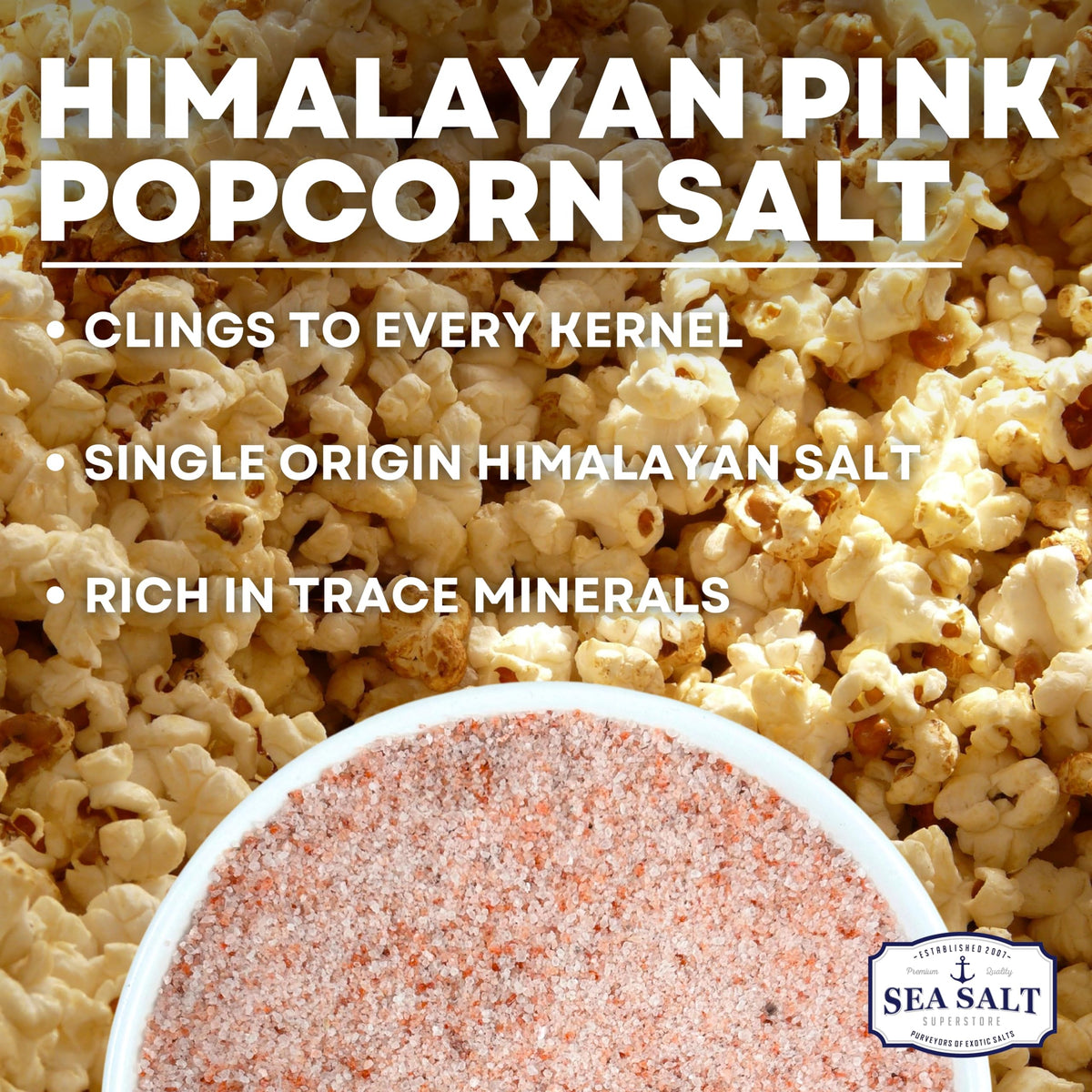 Himalayan Popcorn Salt - 16 oz Shaker, product detail image 2